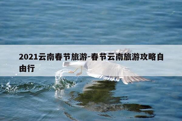 2021云南春节旅游-春节云南旅游攻略自由行-第1张图片-优惠活动网