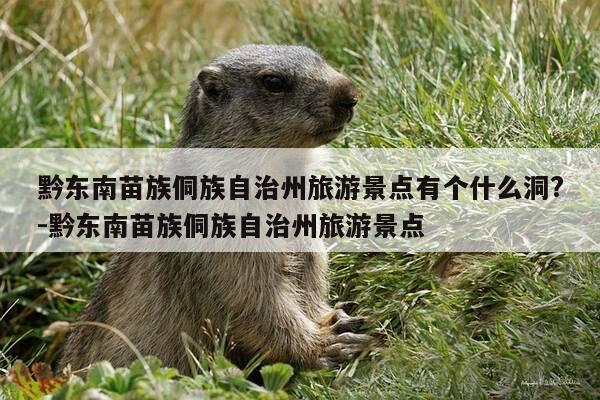 黔东南苗族侗族自治州旅游景点有个什么洞?-黔东南苗族侗族自治州旅游景点-第1张图片-优惠活动网