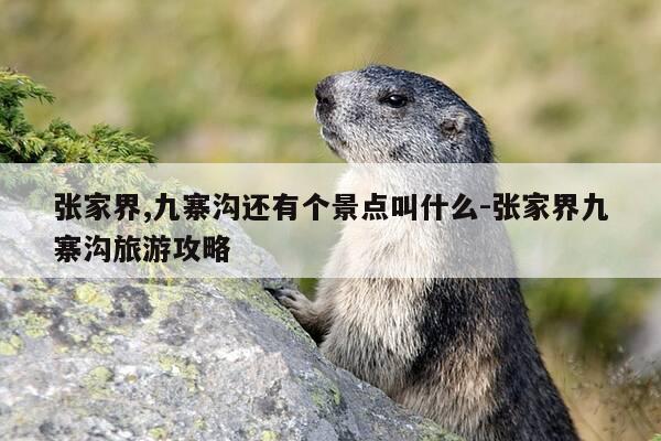 张家界,九寨沟还有个景点叫什么-张家界九寨沟旅游攻略-第1张图片-优惠活动网 张家界,九寨沟还有个景点叫什么-张家界九寨沟旅游攻略-第1张图片-优惠活动网
