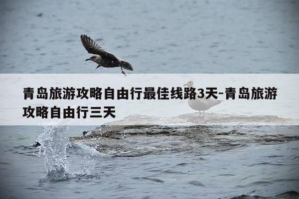 青岛旅游攻略自由行最佳线路3天-青岛旅游攻略自由行三天-第1张图片-优惠活动网 青岛旅游攻略自由行最佳线路3天-青岛旅游攻略自由行三天-第1张图片-优惠活动网
