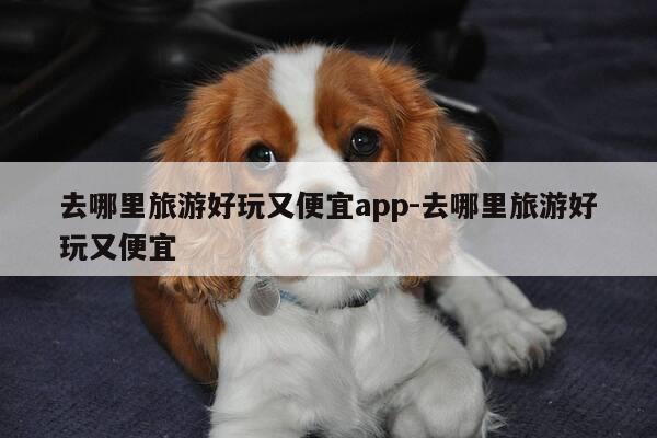 去哪里旅游好玩又便宜app-去哪里旅游好玩又便宜-第1张图片-优惠活动网