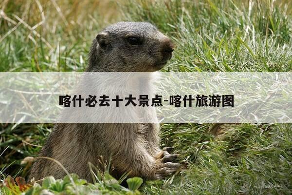 喀什必去十大景点-喀什旅游图-第1张图片-优惠活动网 喀什必去十大景点-喀什旅游图-第1张图片-优惠活动网