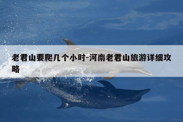 老君山要爬几个小时-河南老君山旅游详细攻略-第1张图片-优惠活动网 老君山要爬几个小时-河南老君山旅游详细攻略-第1张图片-优惠活动网