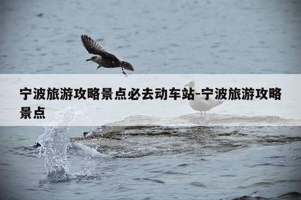 宁波旅游攻略景点必去动车站-宁波旅游攻略景点-第1张图片-优惠活动网 宁波旅游攻略景点必去动车站-宁波旅游攻略景点-第1张图片-优惠活动网