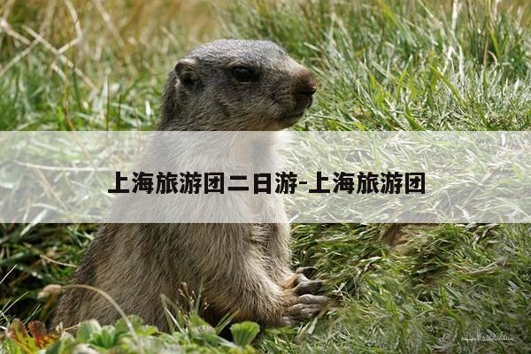 上海旅游团二日游-上海旅游团-第1张图片-优惠活动网 上海旅游团二日游-上海旅游团-第1张图片-优惠活动网