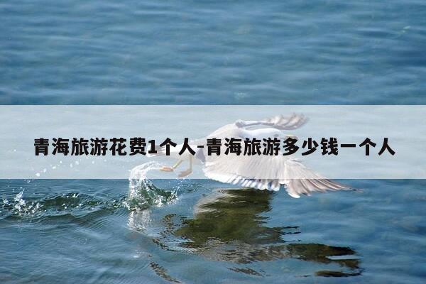青海旅游花费1个人-青海旅游多少钱一个人-第1张图片-优惠活动网