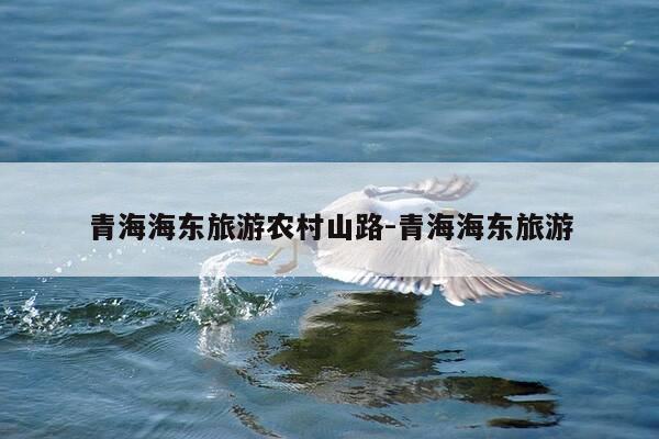 青海海东旅游农村山路-青海海东旅游-第1张图片-优惠活动网