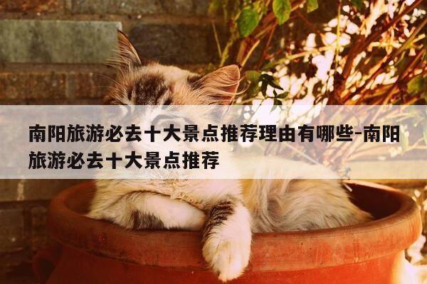 南阳旅游必去十大景点推荐理由有哪些-南阳旅游必去十大景点推荐-第1张图片-优惠活动网