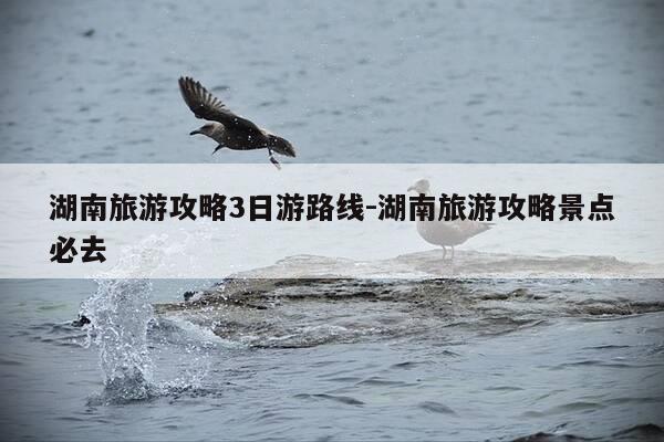 湖南旅游攻略3日游路线-湖南旅游攻略景点必去-第1张图片-优惠活动网