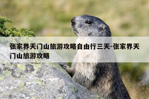 张家界天门山旅游攻略自由行三天-张家界天门山旅游攻略-第1张图片-优惠活动网