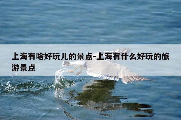 上海有啥好玩儿的景点-上海有什么好玩的旅游景点-第1张图片-优惠活动网