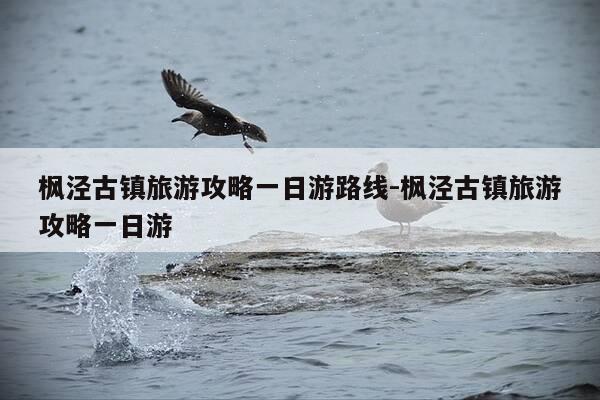枫泾古镇旅游攻略一日游路线-枫泾古镇旅游攻略一日游-第1张图片-优惠活动网