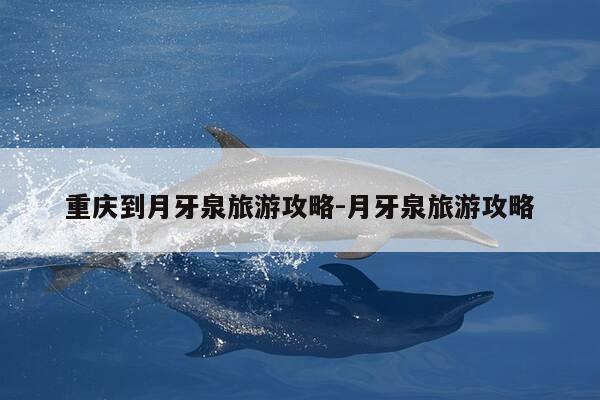 重庆到月牙泉旅游攻略-月牙泉旅游攻略-第1张图片-优惠活动网