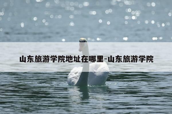 山东旅游学院地址在哪里-山东旅游学院-第1张图片-优惠活动网