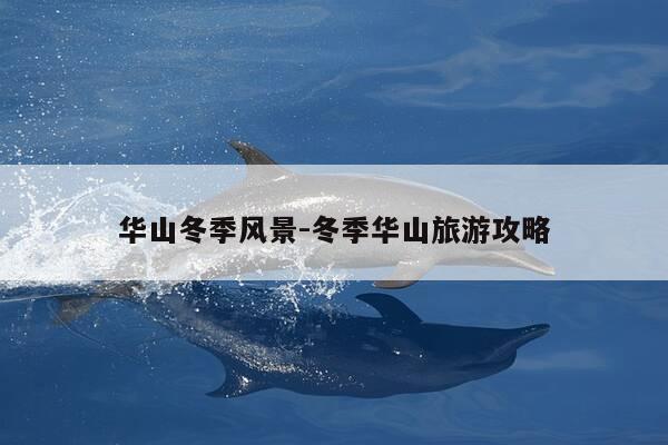 华山冬季风景-冬季华山旅游攻略-第1张图片-优惠活动网 华山冬季风景-冬季华山旅游攻略-第1张图片-优惠活动网