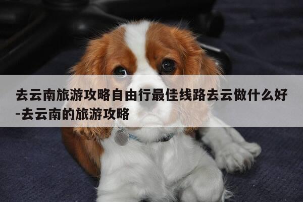 去云南旅游攻略自由行最佳线路去云做什么好-去云南的旅游攻略-第1张图片-优惠活动网 去云南旅游攻略自由行最佳线路去云做什么好-去云南的旅游攻略-第1张图片-优惠活动网