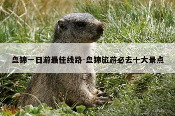 盘锦一日游最佳线路-盘锦旅游必去十大景点-第1张图片-优惠活动网