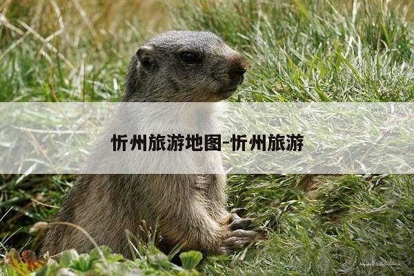 忻州旅游地图-忻州旅游-第1张图片-优惠活动网 忻州旅游地图-忻州旅游-第1张图片-优惠活动网