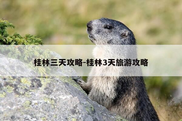 桂林三天攻略-桂林3天旅游攻略-第1张图片-优惠活动网 桂林三天攻略-桂林3天旅游攻略-第1张图片-优惠活动网