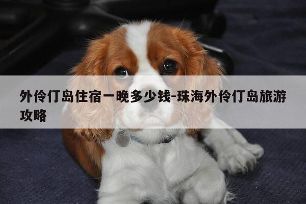 外伶仃岛住宿一晚多少钱-珠海外伶仃岛旅游攻略-第1张图片-优惠活动网 外伶仃岛住宿一晚多少钱-珠海外伶仃岛旅游攻略-第1张图片-优惠活动网