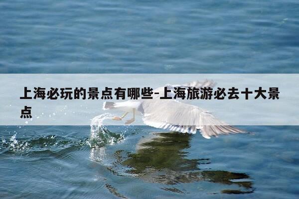 上海必玩的景点有哪些-上海旅游必去十大景点-第1张图片-优惠活动网 上海必玩的景点有哪些-上海旅游必去十大景点-第1张图片-优惠活动网
