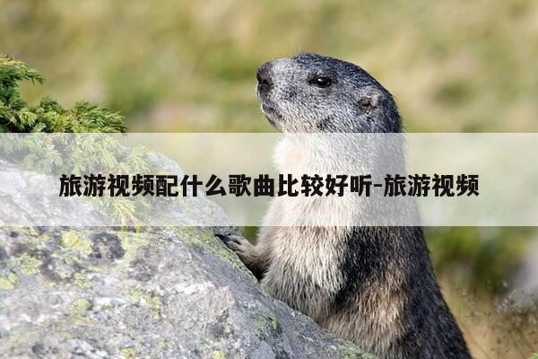 旅游视频配什么歌曲比较好听-旅游视频-第1张图片-优惠活动网 旅游视频配什么歌曲比较好听-旅游视频-第1张图片-优惠活动网