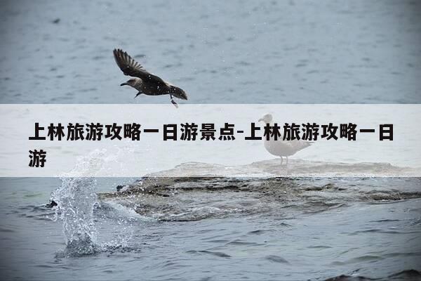 上林旅游攻略一日游景点-上林旅游攻略一日游-第1张图片-优惠活动网 上林旅游攻略一日游景点-上林旅游攻略一日游-第1张图片-优惠活动网