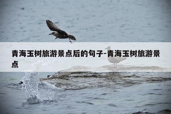 青海玉树旅游景点后的句子-青海玉树旅游景点-第1张图片-优惠活动网 青海玉树旅游景点后的句子-青海玉树旅游景点-第1张图片-优惠活动网
