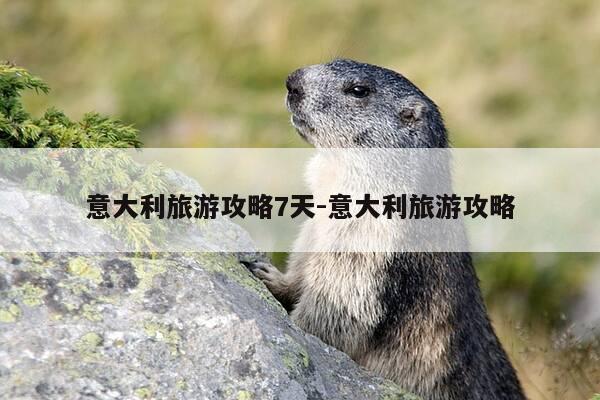 意大利旅游攻略7天-意大利旅游攻略-第1张图片-优惠活动网