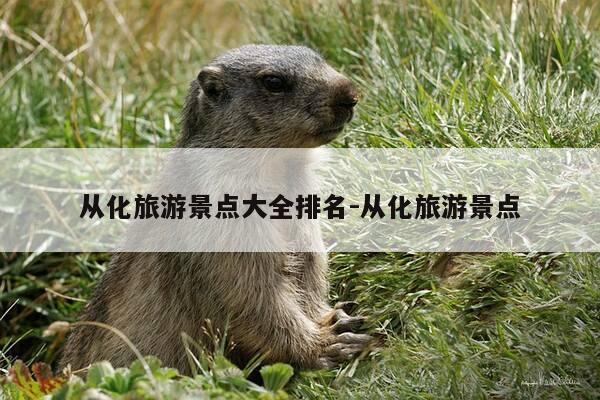 从化旅游景点大全排名-从化旅游景点-第1张图片-优惠活动网 从化旅游景点大全排名-从化旅游景点-第1张图片-优惠活动网