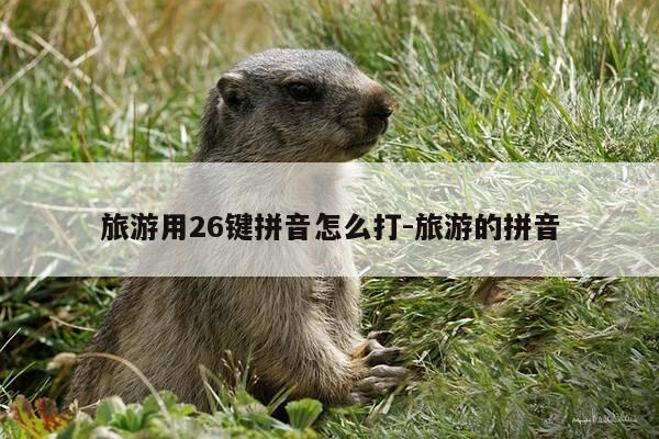 旅游用26键拼音怎么打-旅游的拼音-第1张图片-优惠活动网 旅游用26键拼音怎么打-旅游的拼音-第1张图片-优惠活动网