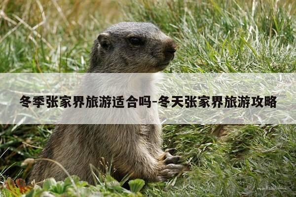 冬季张家界旅游适合吗-冬天张家界旅游攻略-第1张图片-优惠活动网 冬季张家界旅游适合吗-冬天张家界旅游攻略-第1张图片-优惠活动网