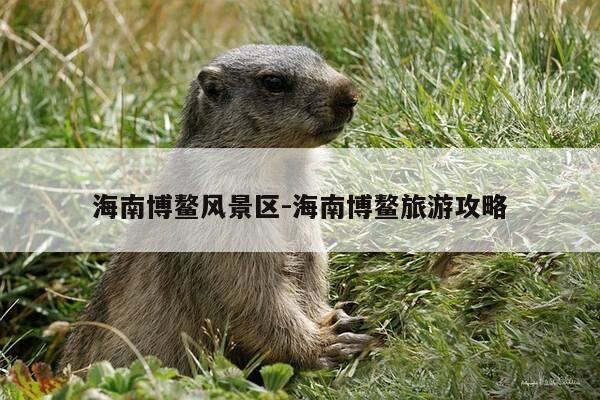 海南博鳌风景区-海南博鳌旅游攻略-第1张图片-优惠活动网