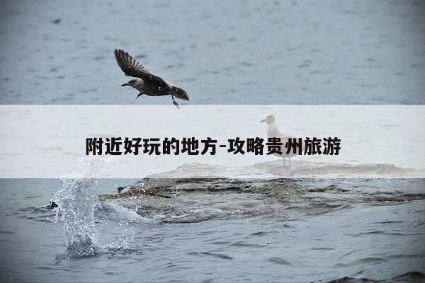 附近好玩的地方-攻略贵州旅游-第1张图片-优惠活动网 附近好玩的地方-攻略贵州旅游-第1张图片-优惠活动网