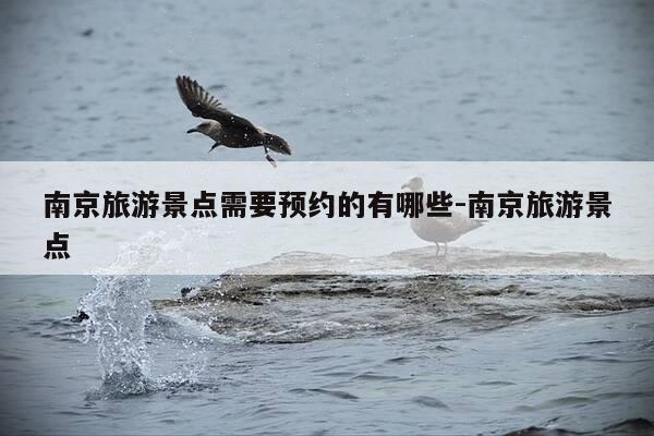 南京旅游景点需要预约的有哪些-南京旅游景点-第1张图片-优惠活动网 南京旅游景点需要预约的有哪些-南京旅游景点-第1张图片-优惠活动网