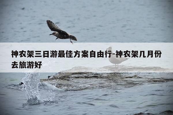 神农架三日游最佳方案自由行-神农架几月份去旅游好-第1张图片-优惠活动网 神农架三日游最佳方案自由行-神农架几月份去旅游好-第1张图片-优惠活动网