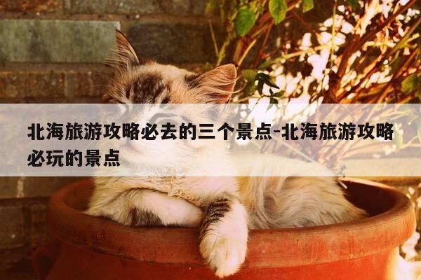 北海旅游攻略必去的三个景点-北海旅游攻略必玩的景点-第1张图片-优惠活动网 北海旅游攻略必去的三个景点-北海旅游攻略必玩的景点-第1张图片-优惠活动网
