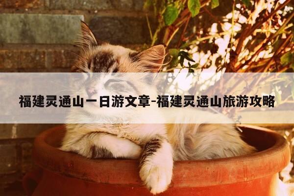 福建灵通山一日游文章-福建灵通山旅游攻略-第1张图片-优惠活动网 福建灵通山一日游文章-福建灵通山旅游攻略-第1张图片-优惠活动网