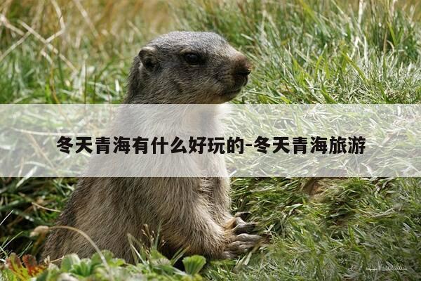 冬天青海有什么好玩的-冬天青海旅游-第1张图片-优惠活动网 冬天青海有什么好玩的-冬天青海旅游-第1张图片-优惠活动网
