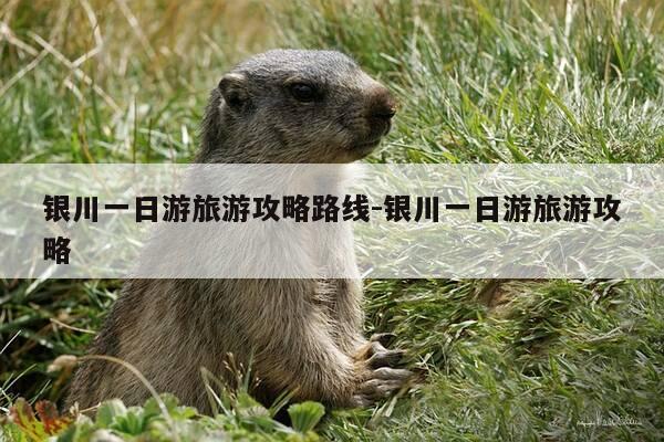 银川一日游旅游攻略路线-银川一日游旅游攻略-第1张图片-优惠活动网
