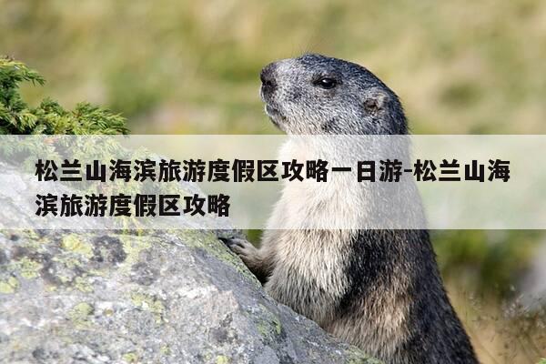松兰山海滨旅游度假区攻略一日游-松兰山海滨旅游度假区攻略-第1张图片-优惠活动网 松兰山海滨旅游度假区攻略一日游-松兰山海滨旅游度假区攻略-第1张图片-优惠活动网