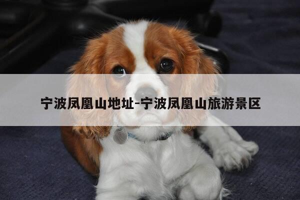 宁波凤凰山地址-宁波凤凰山旅游景区-第1张图片-优惠活动网 宁波凤凰山地址-宁波凤凰山旅游景区-第1张图片-优惠活动网