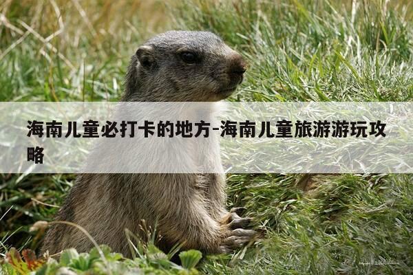 海南儿童必打卡的地方-海南儿童旅游游玩攻略-第1张图片-优惠活动网 海南儿童必打卡的地方-海南儿童旅游游玩攻略-第1张图片-优惠活动网