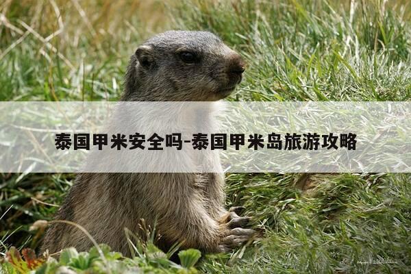 泰国甲米安全吗-泰国甲米岛旅游攻略-第1张图片-优惠活动网