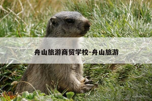 舟山旅游商贸学校-舟山旅游-第1张图片-优惠活动网 舟山旅游商贸学校-舟山旅游-第1张图片-优惠活动网