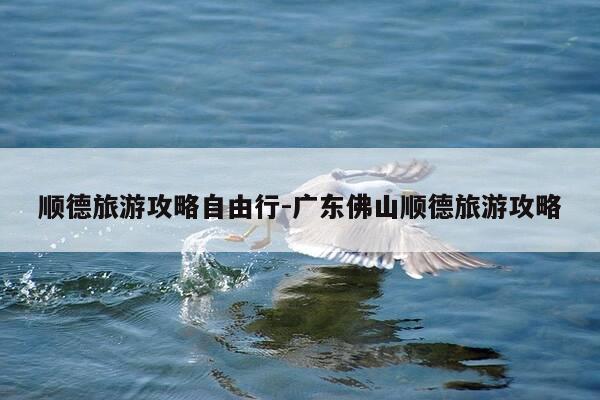 顺德旅游攻略自由行-广东佛山顺德旅游攻略-第1张图片-优惠活动网 顺德旅游攻略自由行-广东佛山顺德旅游攻略-第1张图片-优惠活动网