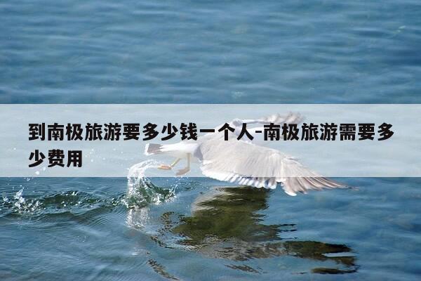 到南极旅游要多少钱一个人-南极旅游需要多少费用-第1张图片-优惠活动网