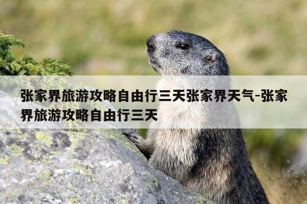 张家界旅游攻略自由行三天张家界天气-张家界旅游攻略自由行三天-第1张图片-优惠活动网 张家界旅游攻略自由行三天张家界天气-张家界旅游攻略自由行三天-第1张图片-优惠活动网
