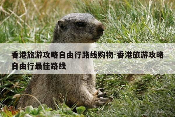 香港旅游攻略自由行路线购物-香港旅游攻略自由行最佳路线-第1张图片-优惠活动网 香港旅游攻略自由行路线购物-香港旅游攻略自由行最佳路线-第1张图片-优惠活动网