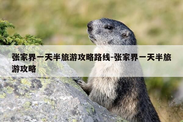 张家界一天半旅游攻略路线-张家界一天半旅游攻略-第1张图片-优惠活动网 张家界一天半旅游攻略路线-张家界一天半旅游攻略-第1张图片-优惠活动网